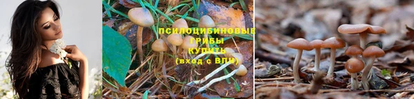 мескалин Нязепетровск