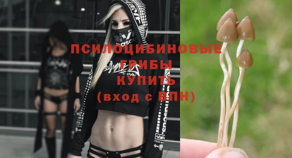 каннабис Осташков