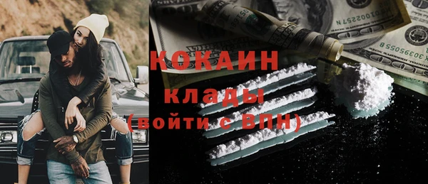 твердый Няндома