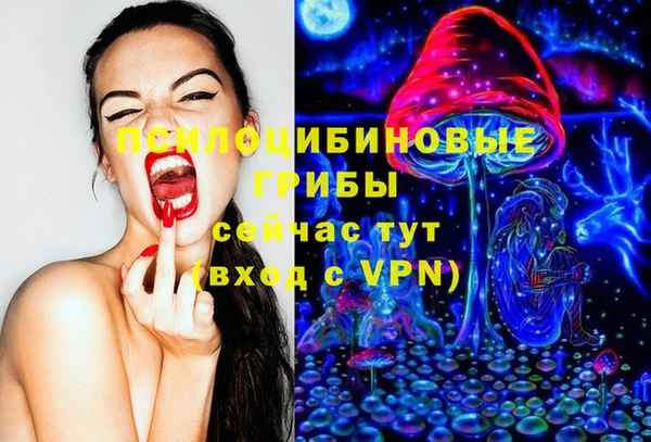 твердый Няндома