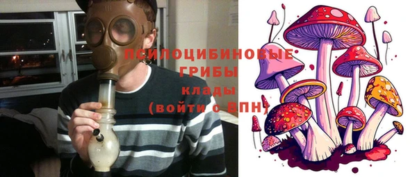 твердый Няндома