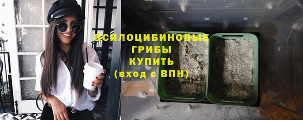 мескалин Нязепетровск