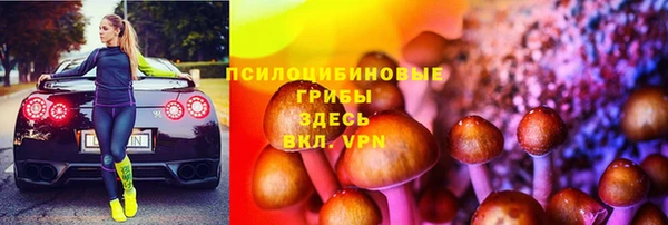 мескалин Новодвинск