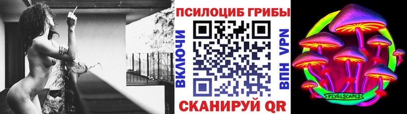 Псилоцибиновые грибы Psilocybe Лабытнанги