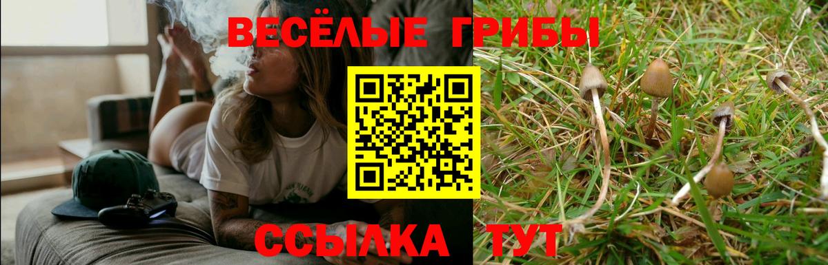Галлюциногенные грибы мицелий Лабытнанги